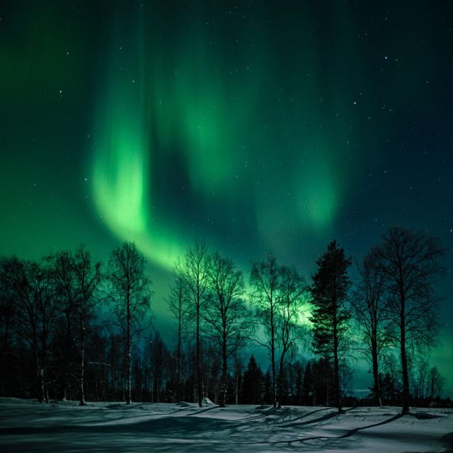 Rovaniemi: Northern Lights Hunt With a Photographer