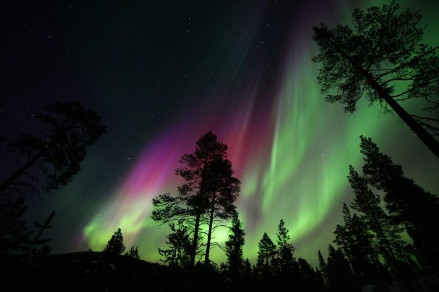 Rovaniemi : Private Midnight Aurora Borealis Expedition