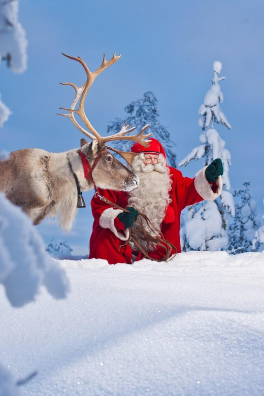Rovaniemi: Pure Christmas Joy Half-Day Tour