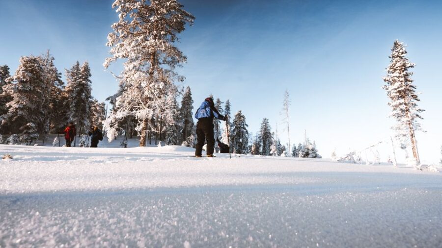 Rovaniemi: Ski Trekking Safari in Lapland - Backcountry Ski Adventure