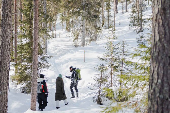 Rovaniemi – Visit to The Frozen Waterfalls of Korouoma