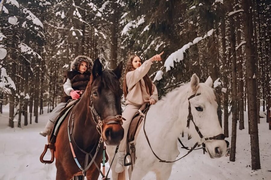 Rovaniemi: Winter Horse Riding in Arctic Nature - Experience Overview