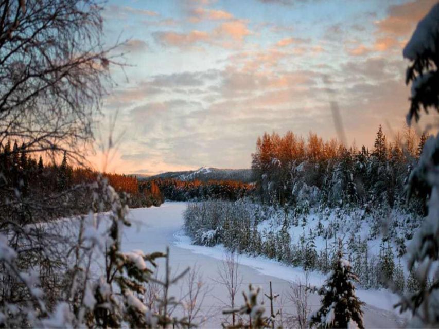 Rovaniemi: Winter Wonderland Vikaköngäs Hike & Barbeque
