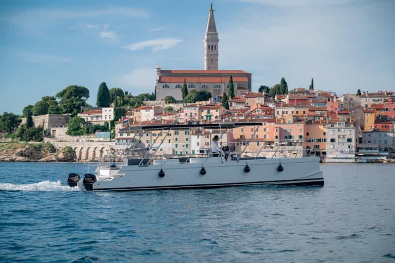 12 Best Dolphin Watching Tours In Rovinj