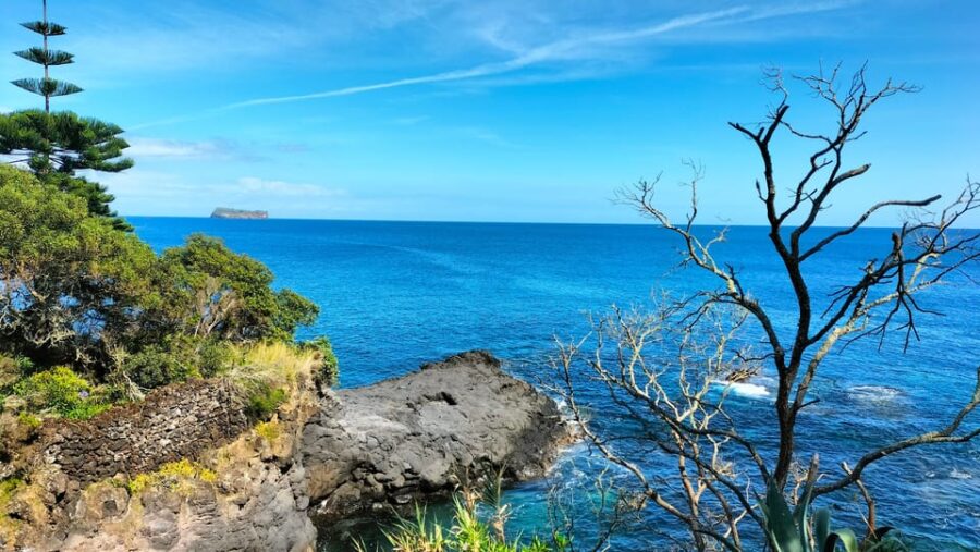S. Miguel: Snorkeling Adventure in Caloura - Activity Overview