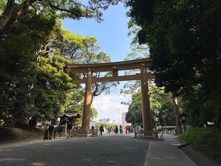 Sacred Morning Walk & Brunch-Meiji Shrine