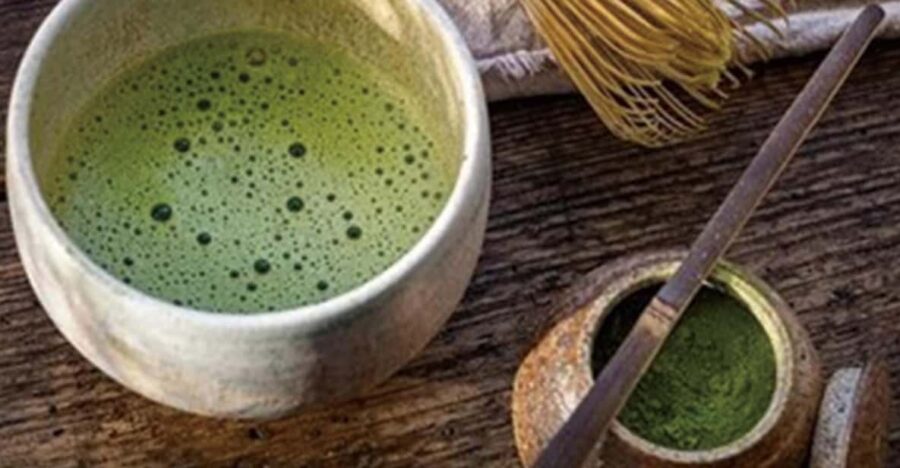 [SADO] Tea Ceremony Lecture Only