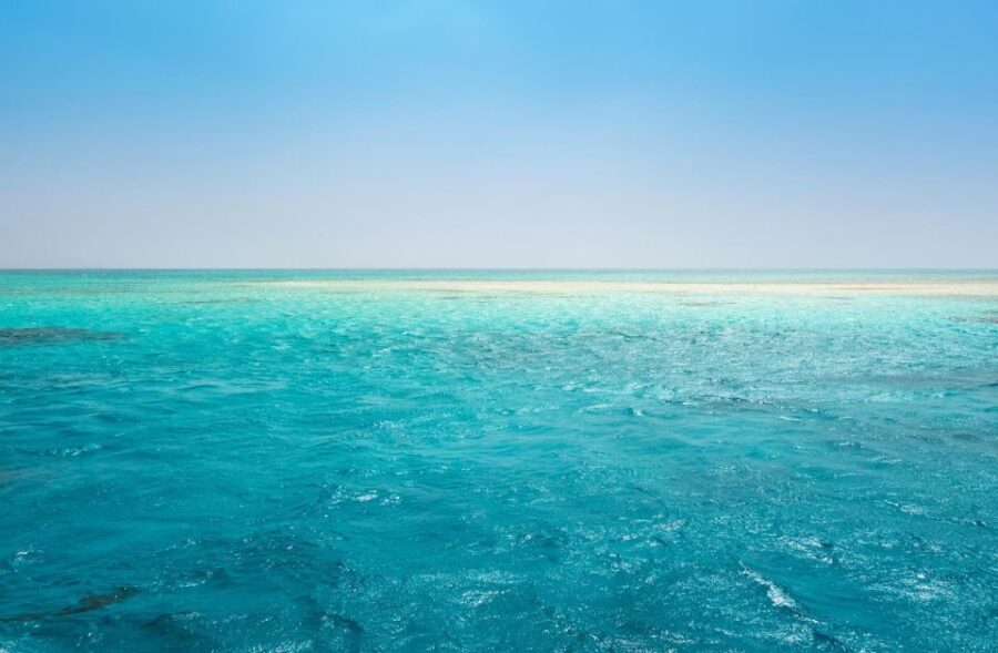 Sahl Hasheesh: Diving or Snorkeling Boat Trip With Lunch