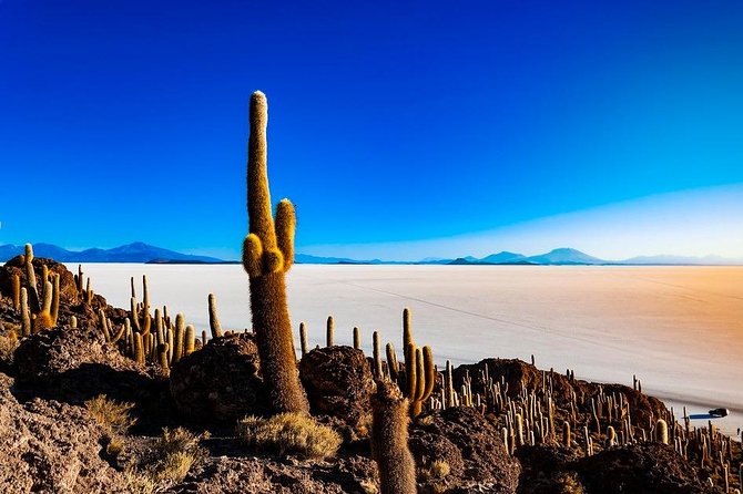Salar De Uyuni (3 Days) Spanish Speaking Guide