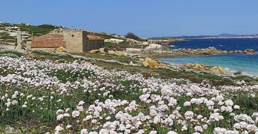 Salvora: Island Tour With Mussel Tasting