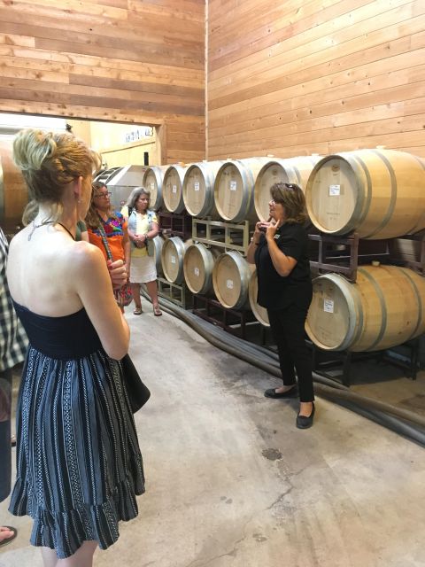 San Antonio: Fredericksburg Wineries Day Trip With Tastings