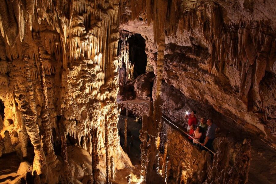 San Antonio: Go City Explorer Pass With 25+ Attractions - Overview of the Explorer Pass