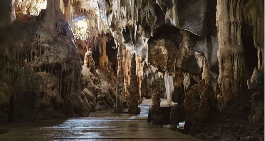 San Cristobal: Arcotete, Mamut & Rancho Nuevo Caves Day Trip - Exploring El Mamut Cave