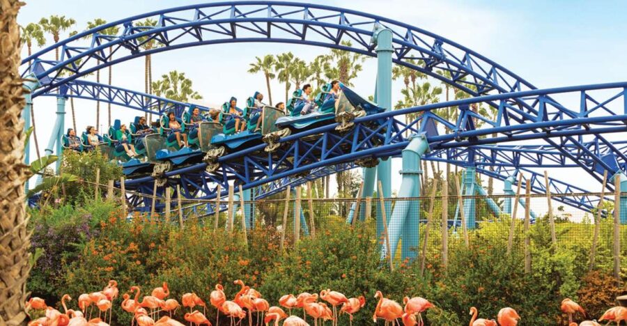 San Diego: SeaWorld Skip-the-Line Park Admission Ticket - Ticket Information and Pricing