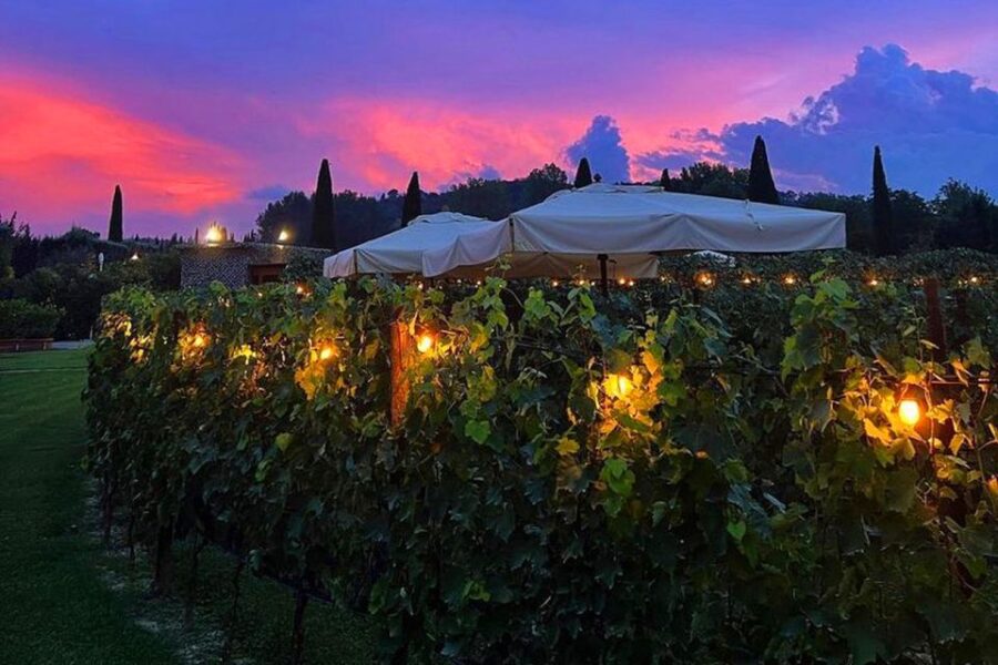 San Gimignano: Romantic Vineyard Lunch