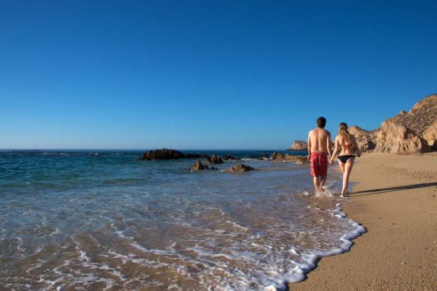 San Jose Del Cabo: City Tour & Palmilla Beach Visit - Tour Overview and Pricing
