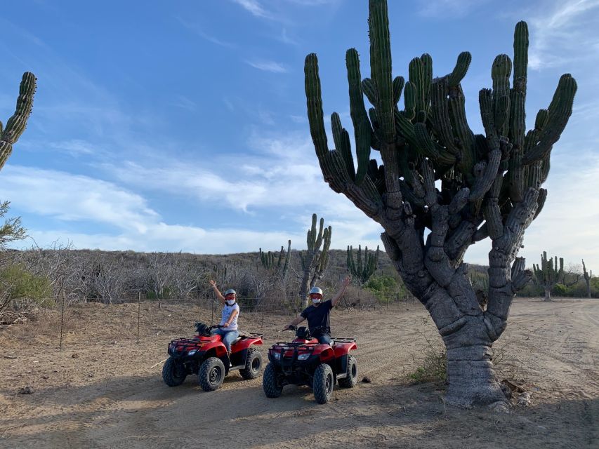 San José Del Cabo: Half-Day Guided ATV Ride With Transfers - Experience Highlights