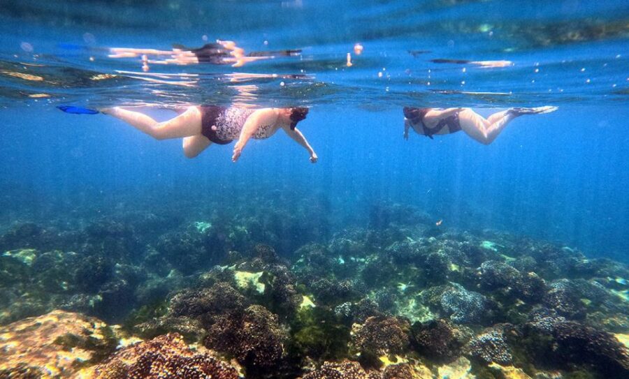 San Jose Del Cabo Private Snorkeling Tour - Tour Overview