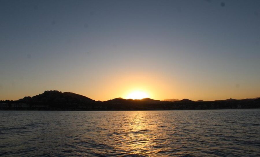 San Jose Del Cabo Sunset Whale Watching - Tour Overview