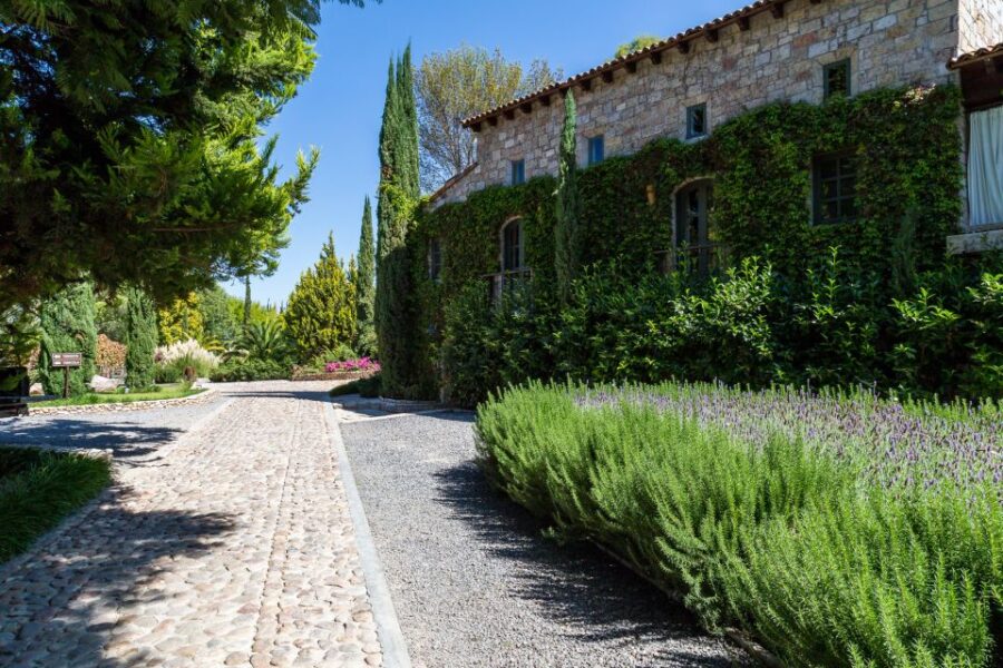 San Miguel De Allende: Tour of 2 Vineyards With Wine Tasting - Tour Overview and Pricing