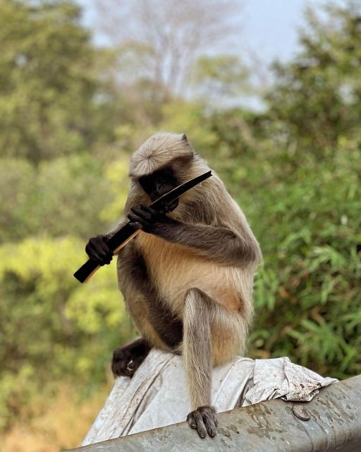 4 Best National Park Tours In Mumbai
