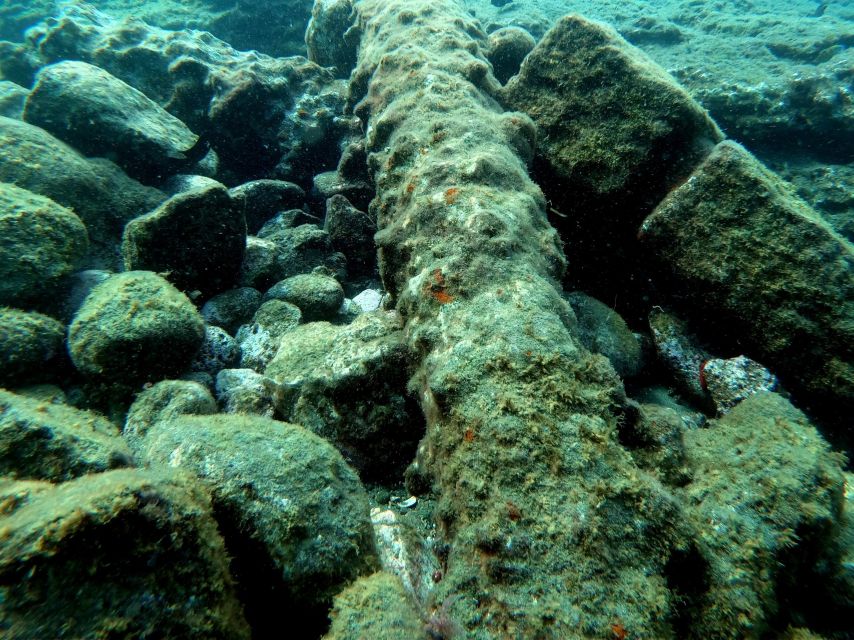 2 Best Snorkeling Experiences In Sao Miguel Island
