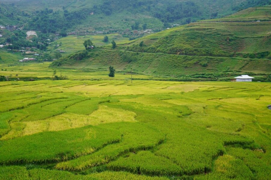Sapa Trip to Y Linh Ho – Lao Chai – Ta Van – Cat Cat Village