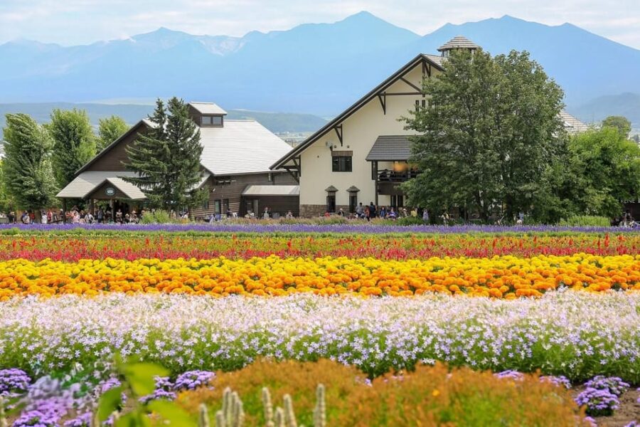 Sapporo: Hokkaido Biei Aoike and Furano Flower Sea Day Trip