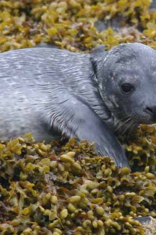 2 Best Tours In Kyle Of Lochalsh