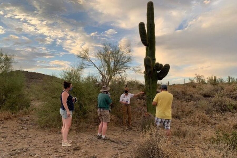 2 Best National Park Tours In Phoenix