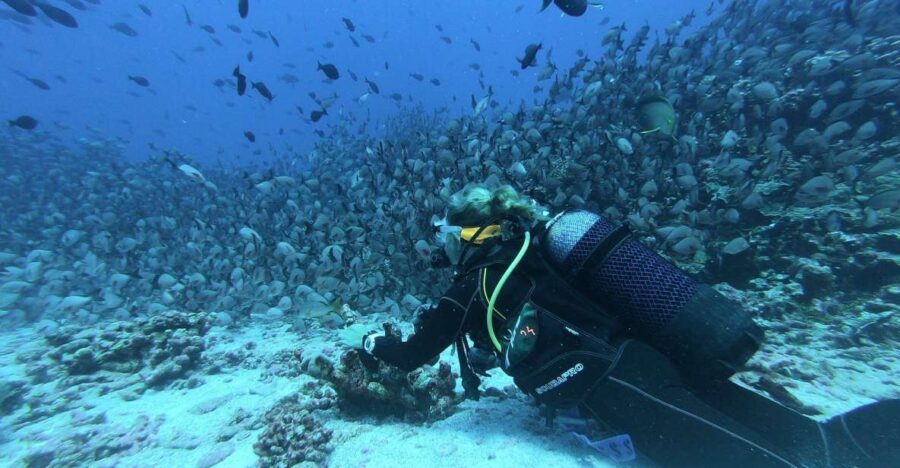 Scuba Diving at Dusk in Mirissa