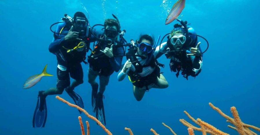 Scuba Diving Experience for Beginners In Greece