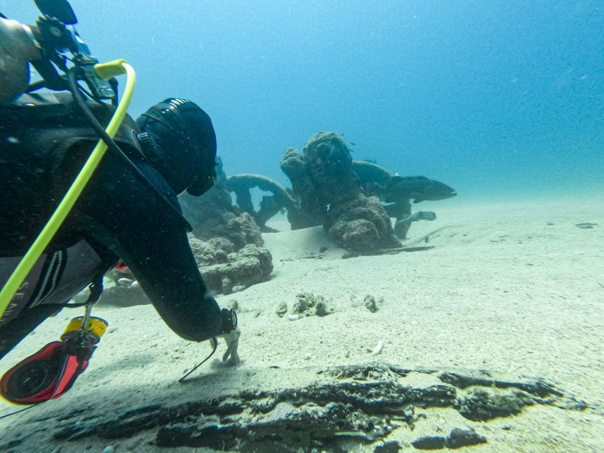 2 Best Scuba Diving Experiences In Cabo Pulmo