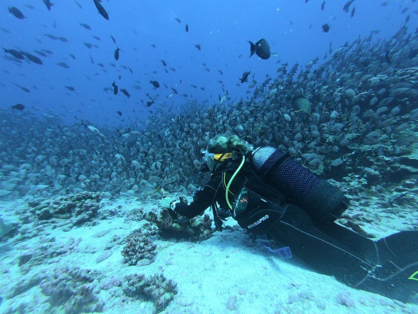 Scuba Diving in Unawatuna