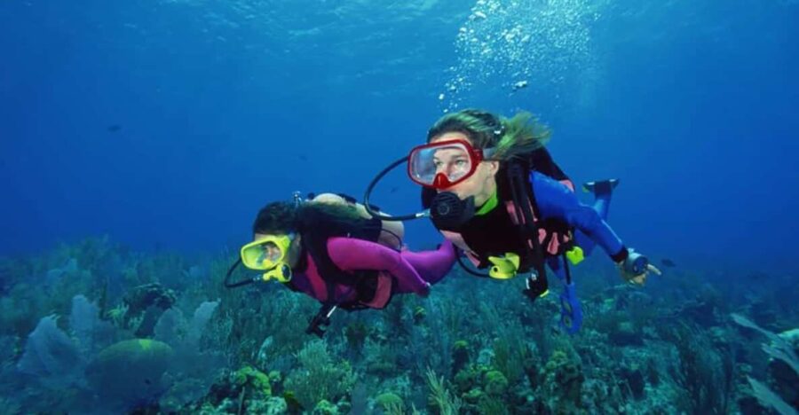Scuba Diving Tour With Transfer From Alanya and City of Side - Tour Overview and Pricing