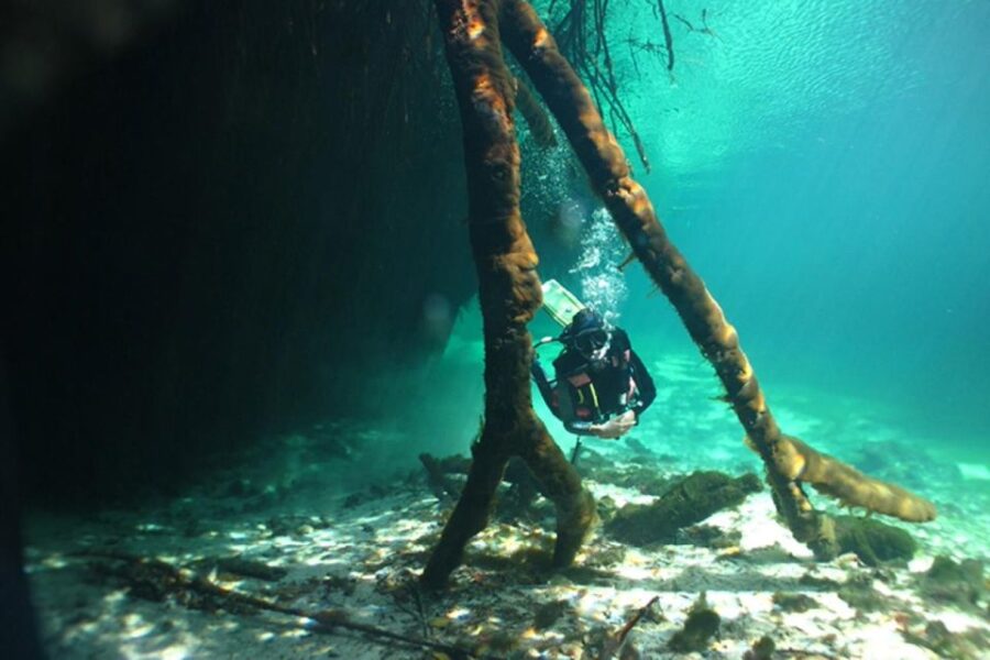 Scuba Diving Tulum Beginners: Explore the Underwater World