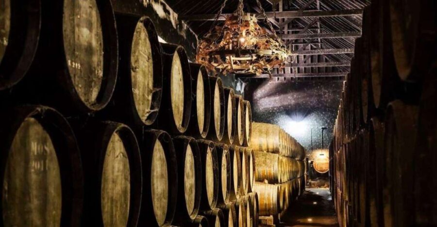 Setúbal Wine Tour: Discover the Moscatel Wine