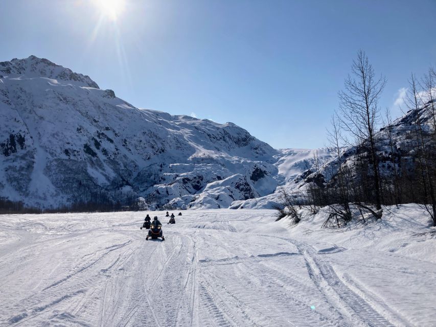 Seward: Kenai Fjords National Park Guided Snowmobiling Tour - Tour Overview