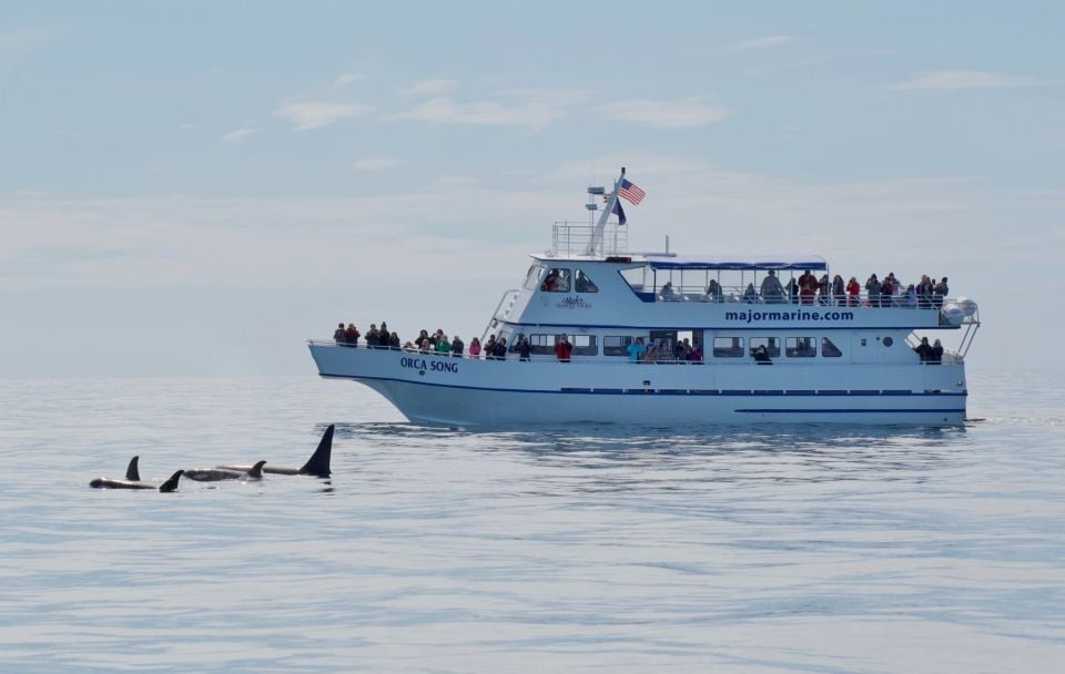 Seward: Resurrection Bay Orca Quest Cruise - Experience Highlights