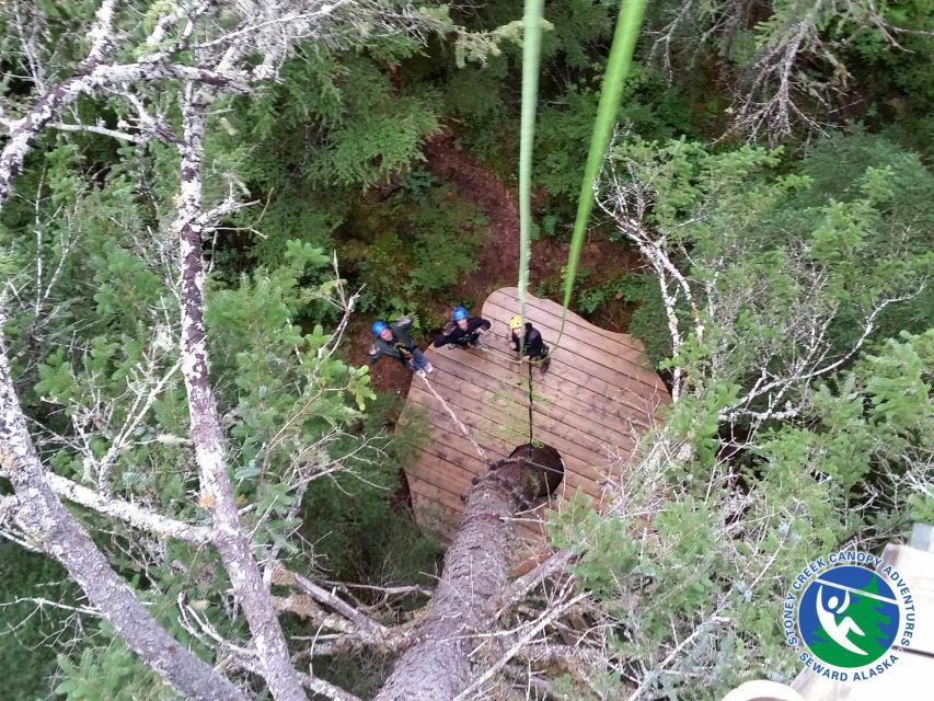 Seward: Stoney Creek Canopy Tour With Zipline