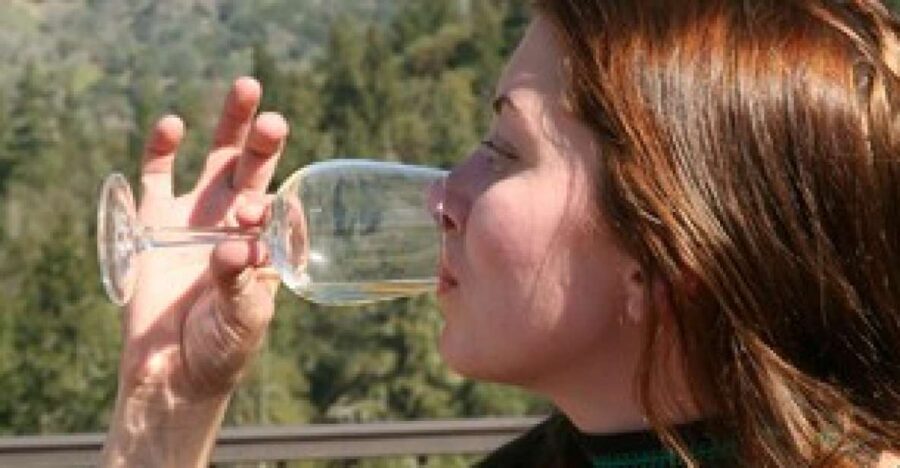 SF Combo: Napa & Sonoma Wine Tour & Hop-on Hop-off Bus Tour
