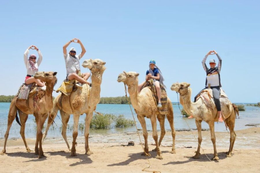 Sharm El Sheikh: ATV Quad Bikes Along the Sea & Mountains