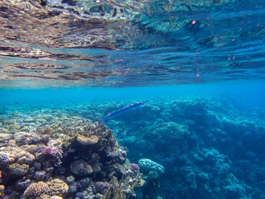 Sharm El Sheikh: Luxury Boat Cruise With Snorkeling & Lunch - Tour Overview
