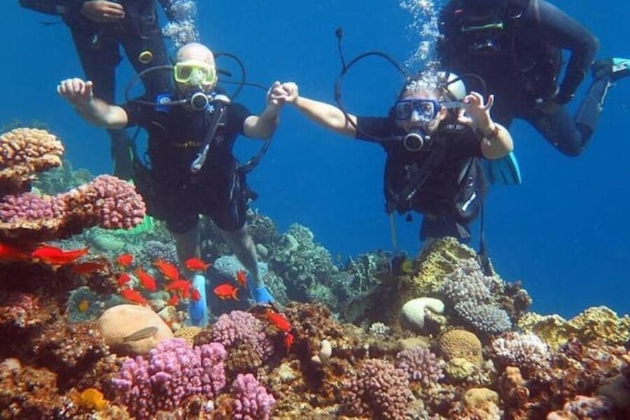 Sharm El-Sheikh: Parasailing, Camel Ride, Dive & Quad Bike - Activity Overview