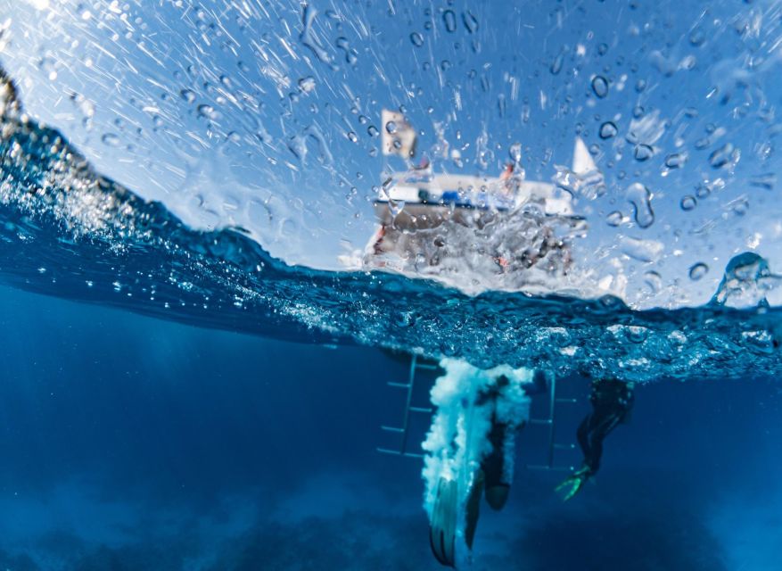 Sharm El Sheikh: Tiran Island Cruise Tour With Intro Dive