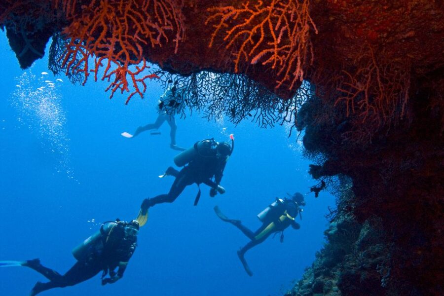 Sharm El-Sheikh: White Island & Ras Mohammed Snorkel Trip