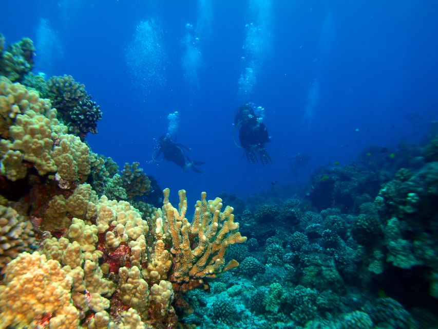 Shore Discover Scuba Diving Experience