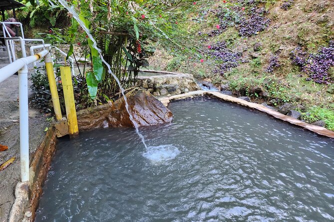 Shoreside Fun-Day With Titou Gorge, Hot Springs & Champagne Reef - Inclusions and Pricing