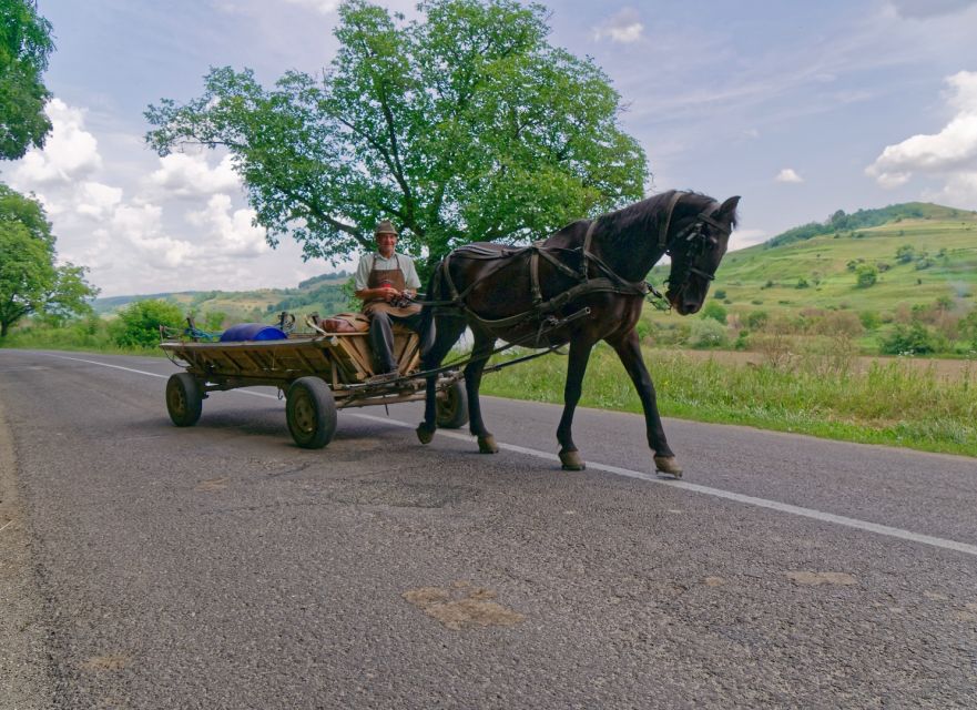 Sibiu: Guided Highlights E-bike Tour