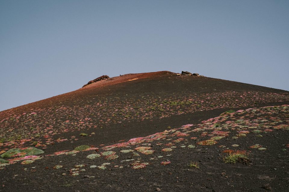 Sicily: Etna Volcano and Wine Tasting Tour - Tour Overview and Pricing